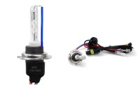Żarówka ksenonowa żarnik hid xenon H7M 8000K metal AMIO-01428 