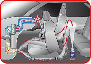 logo KLEAN AIR CARPLAN A009
