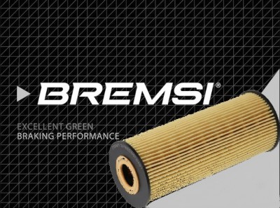 FILTR OLEJU / WKŁAD BREMSI FL0134 AUD A3 96-03/A4 00-08/A6 00-05/FORD GALAXY 95-06/SEA ALHAMBRA 96-10/CORDOBA 99-02/IBIZA 99-02/LEON 99-06/TOLEDO 99-06/SKO OCTAVIA 97-03/SUPERB 02-08/VW BORA/GOLF IV 98-04/PASSAT 98>/CRAFTER 06>